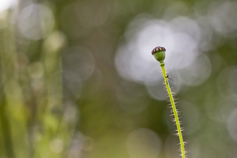 20130612081409-4c07a345.jpg