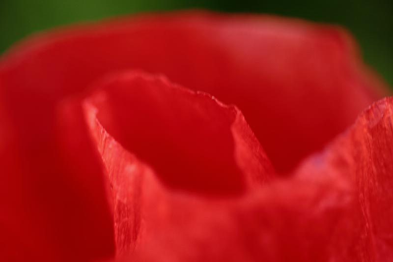 IMG_7783tr.jpg