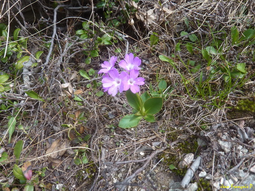 2012-06-12 15-25-31.JPG