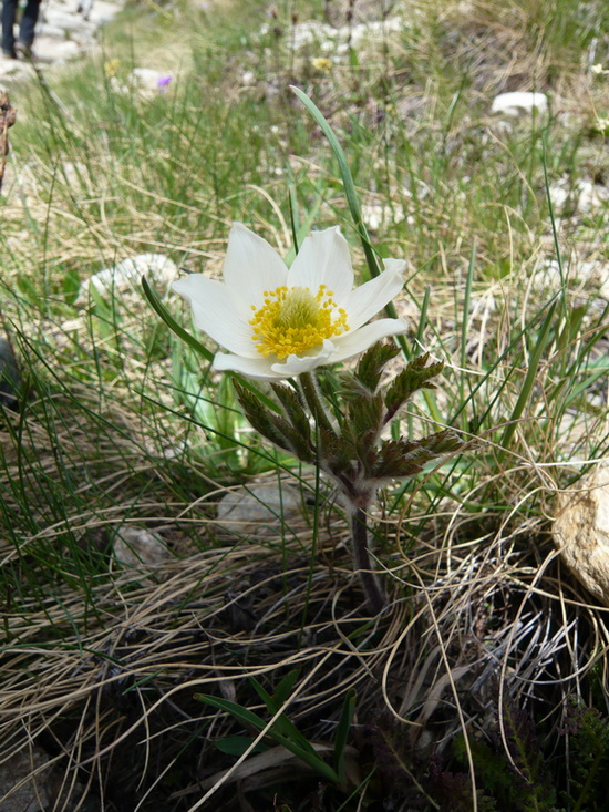 P1040130.JPG