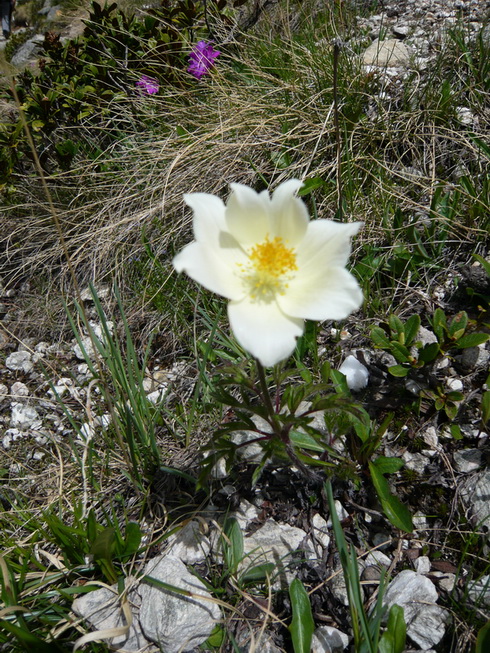 P1040136.JPG