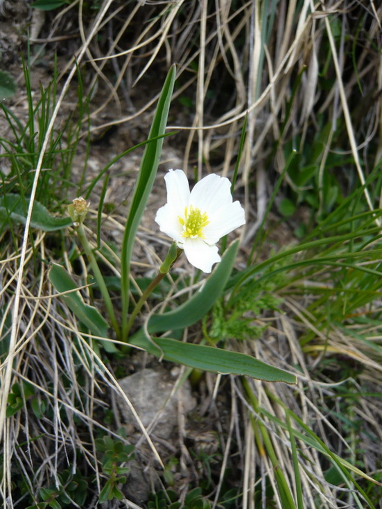 P1040235-2.jpg