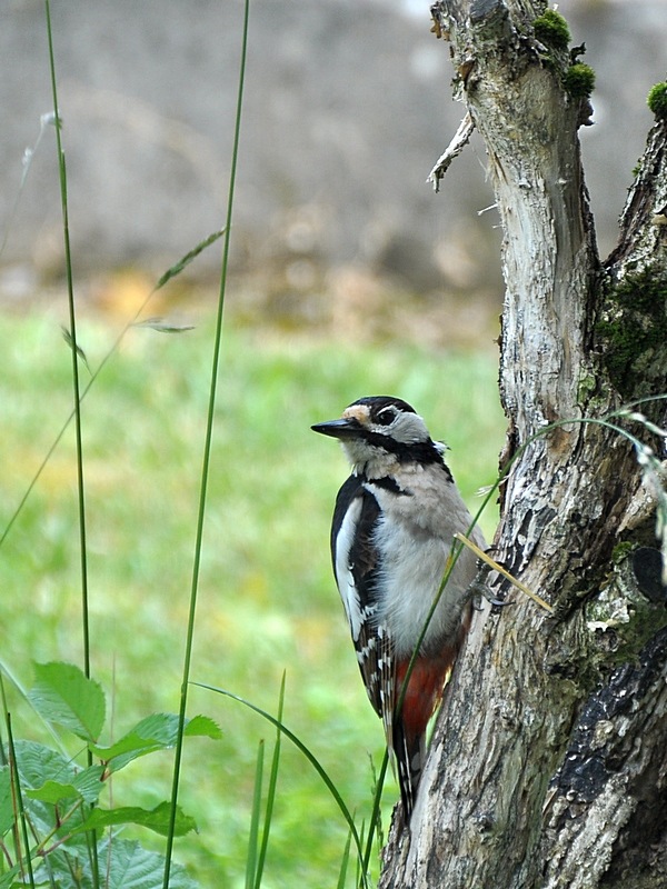 DSC_5602 B-IN.jpg