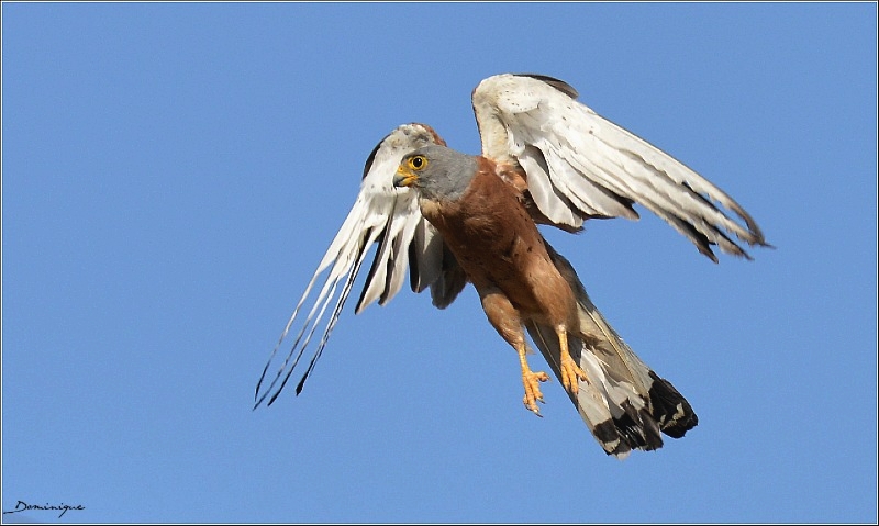 DSC_3052.JPG