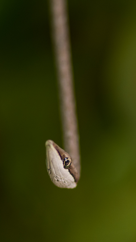 _FOT6096.jpg