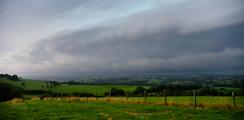 DSC_7343.jpg