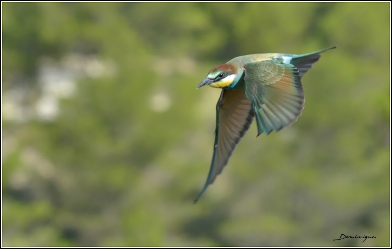 DSC_3773.JPG
