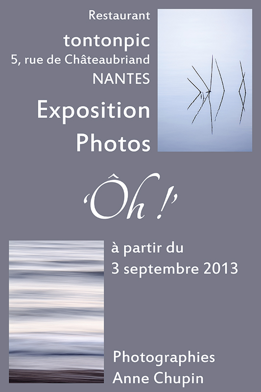 affiche-expo-melusine-tontonpic-web-201309.jpg