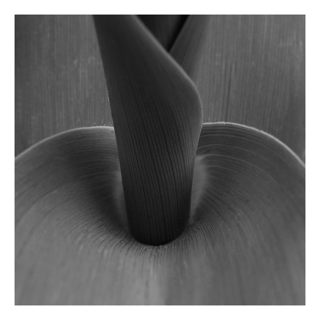 DSCF2224-4.jpg