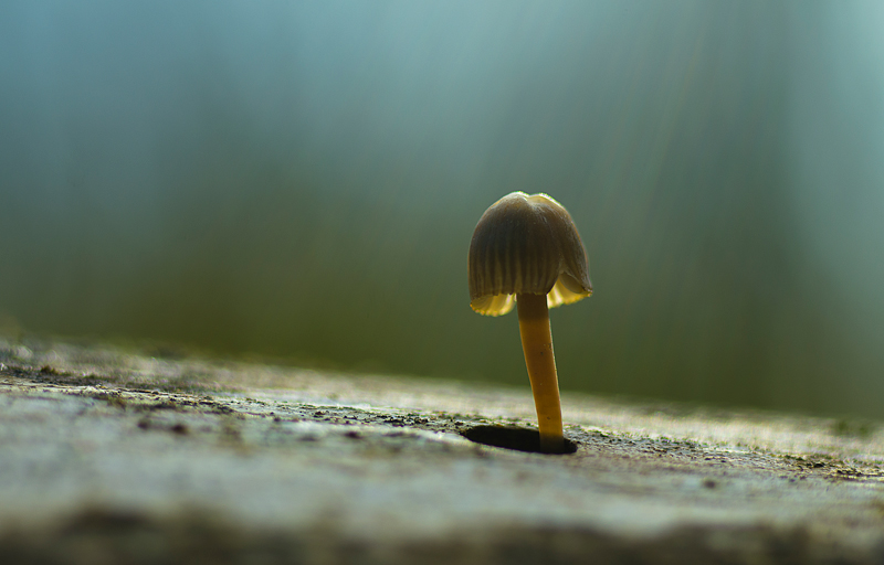 _IGP6043.jpg