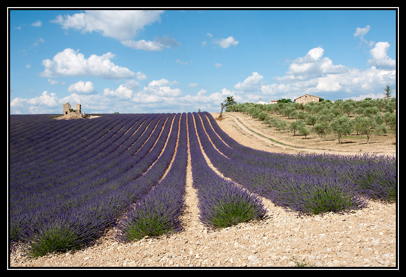 DSC07264-lr1.jpg