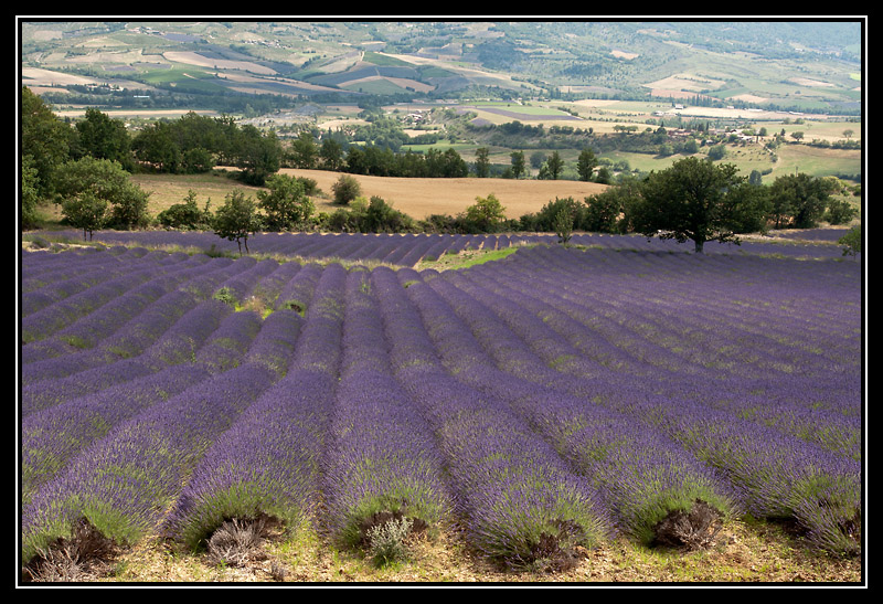 DSC07491-lr.jpg