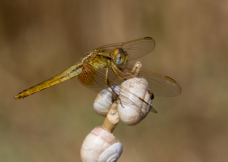 1-100eme s F13 -200 ISO.jpg