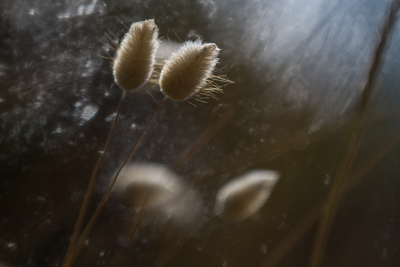 1-1250eme s f2.8 - 100 ISO.jpg