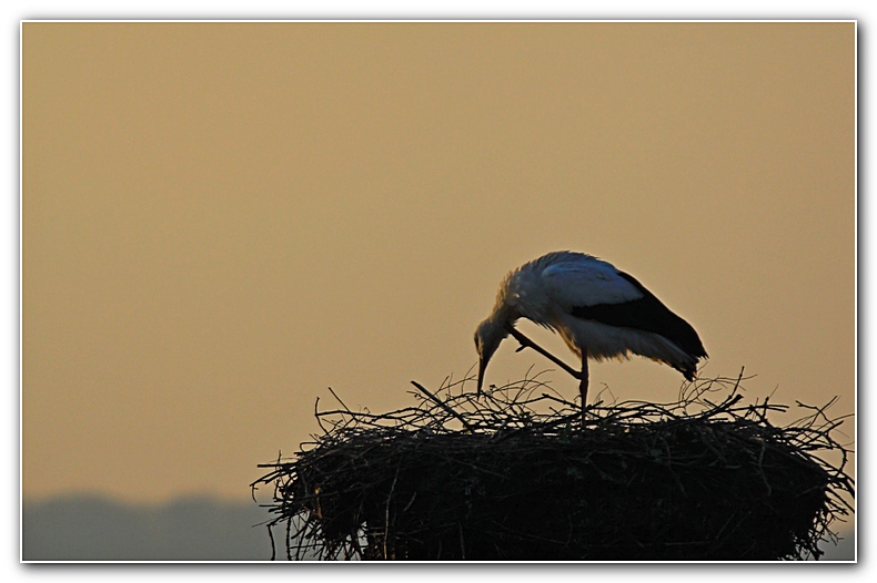 IMG_0316+1.jpg