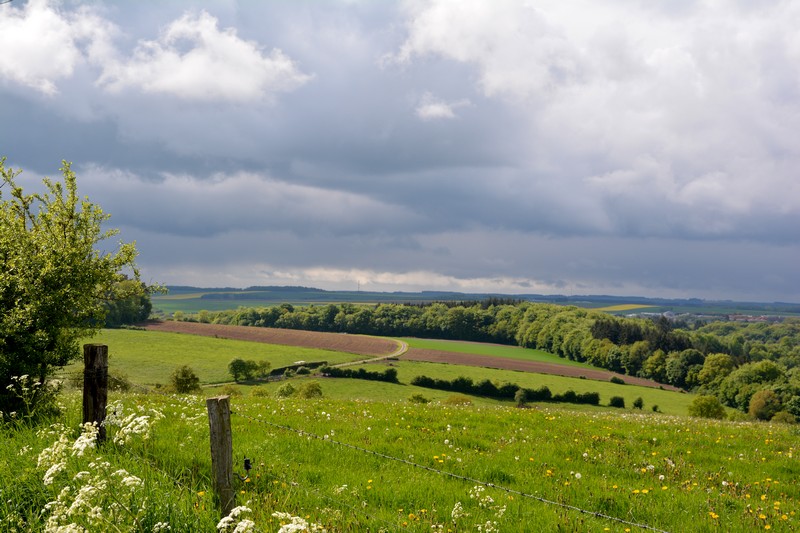 DSC_0027.JPG