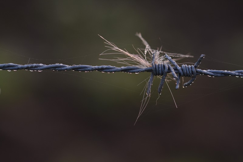 DSC_0139.JPG