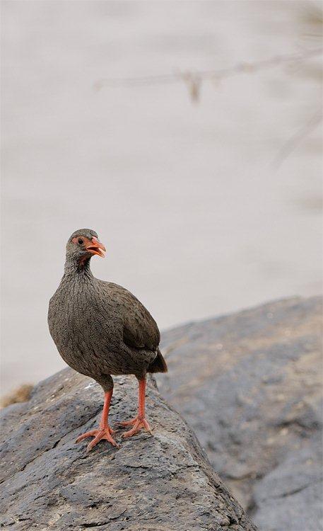 DSC_1759.jpg