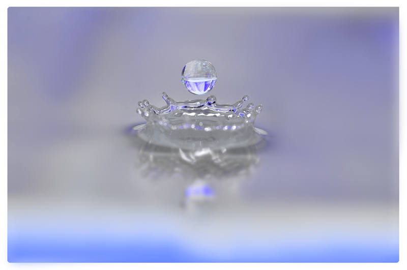 ienDSC_6905-PT.jpg