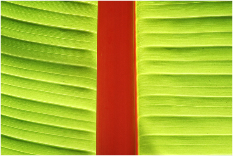 Jeu de couleurs 2.JPG