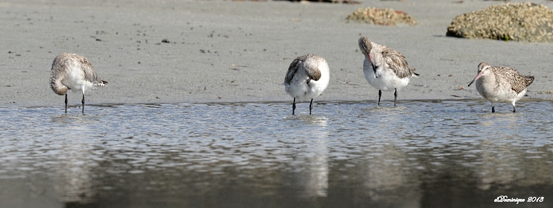 DSC_6057.JPG