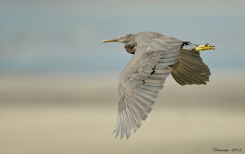 DSC_5988.JPG