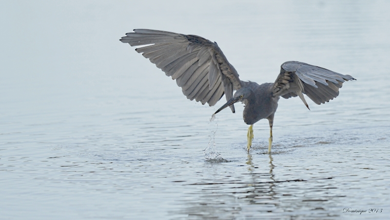 DSC_5944.JPG