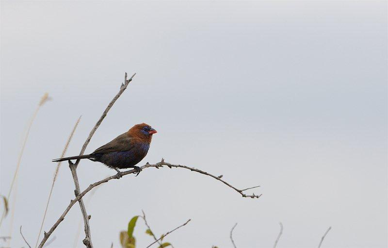 DSC_1776.jpg