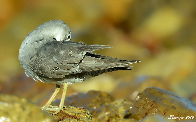 DSC_6160.JPG
