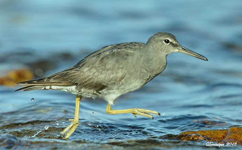 DSC_6134.JPG
