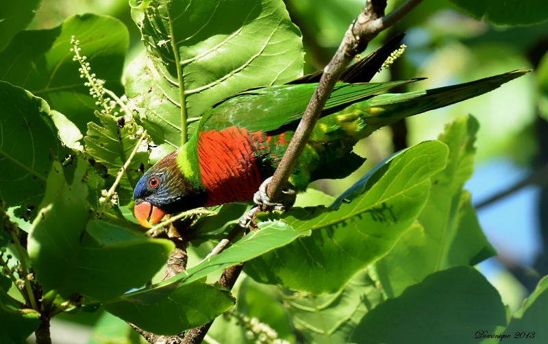 DSC_6287.JPG
