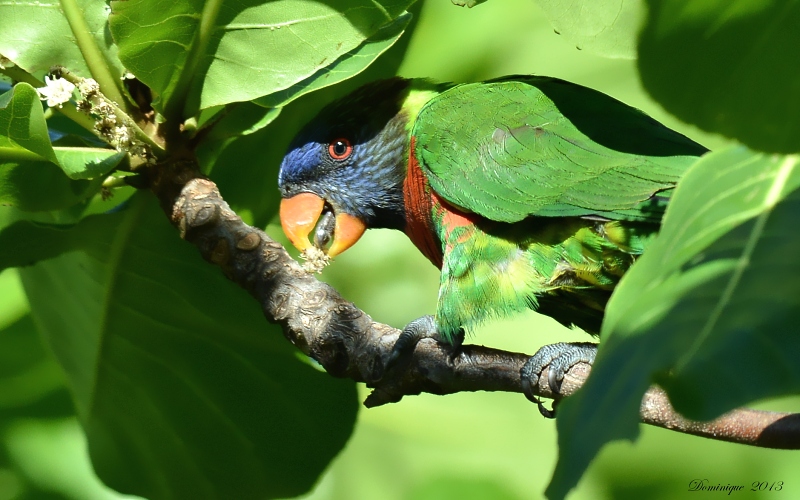 DSC_6246.JPG