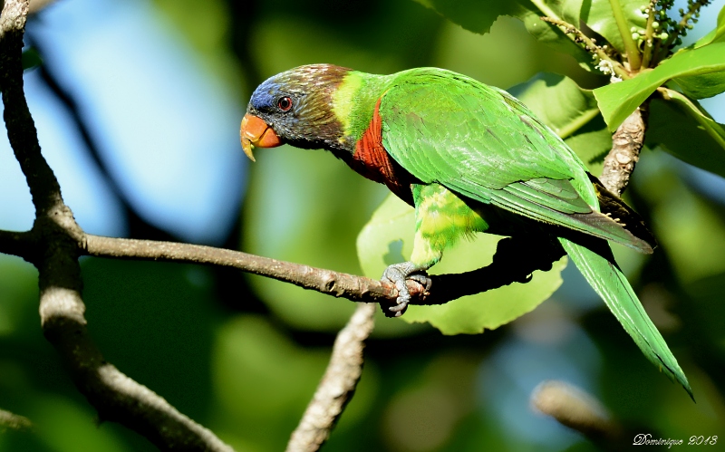 DSC_6263.JPG