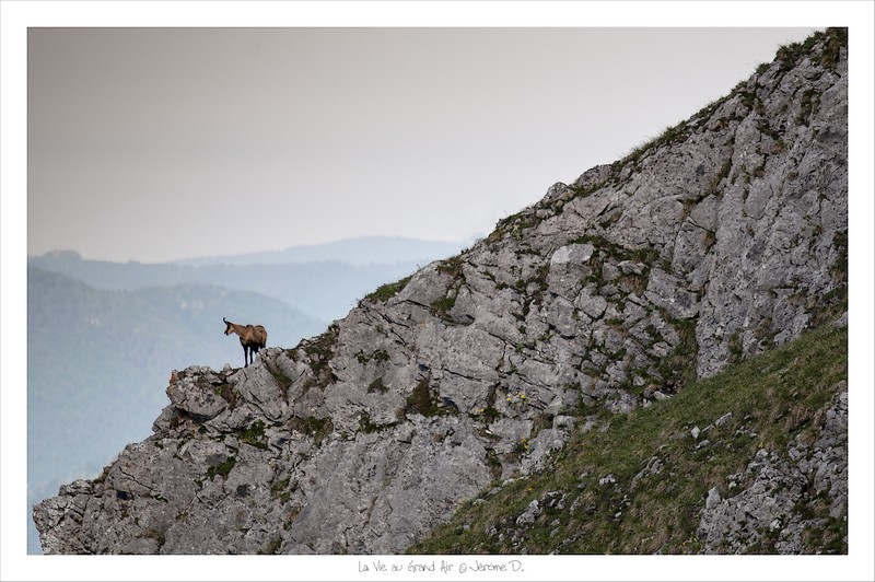 concours image et nature 1.jpg