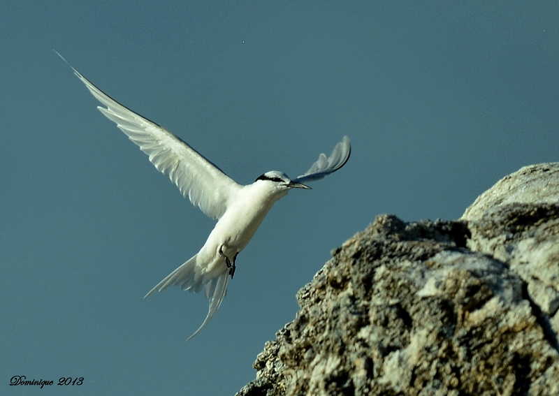 DSC_6356.JPG