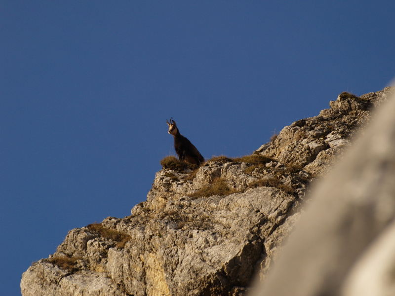 PA240226.jpg