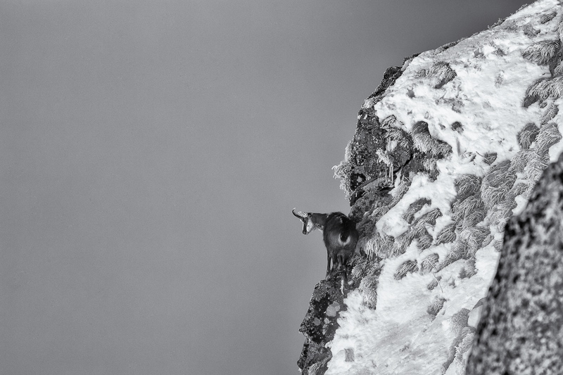 103-HOHNECK-02 mars 2013-Modifier.jpg