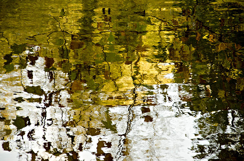 reflets d'or i et n.jpg