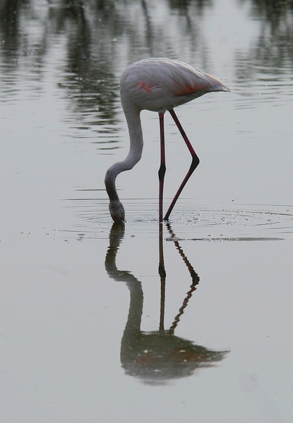 DSC_3345.jpg