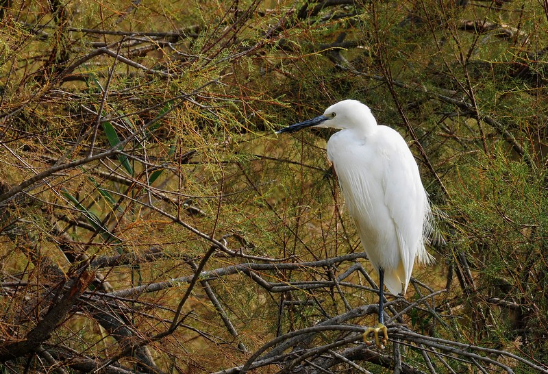 DSC_3273.jpg