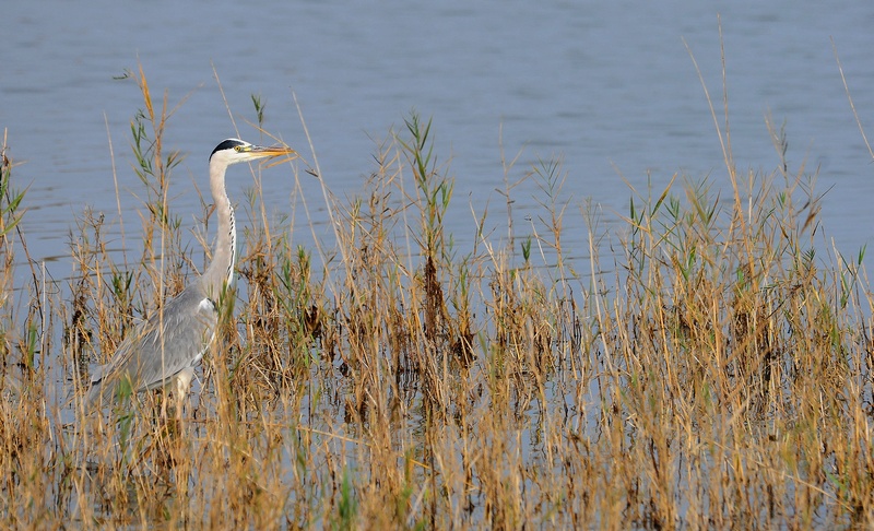DSC_3378.jpg
