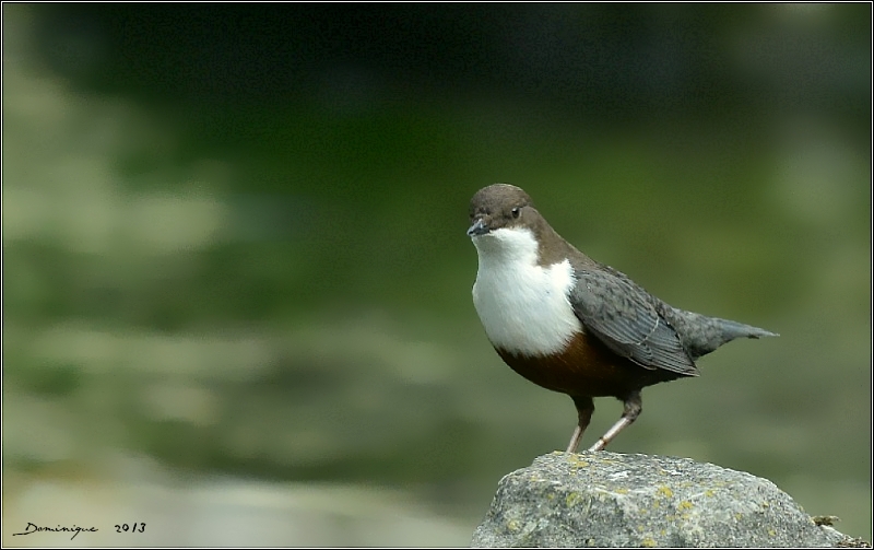 DSC_7589.JPG