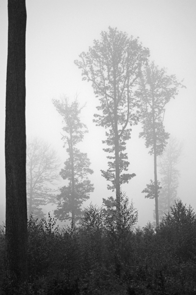 DSC08716W01 600PX -.jpg