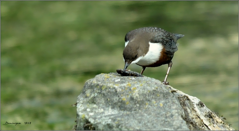 DSC_7587.JPG