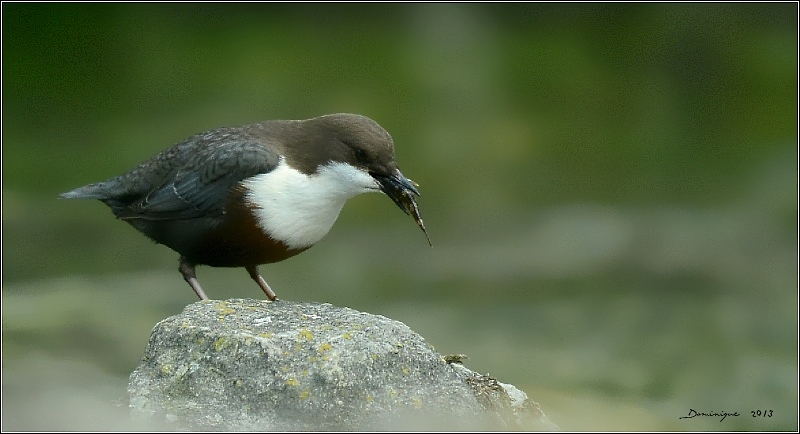DSC_7593.JPG