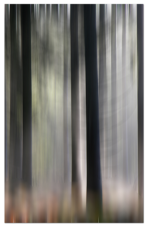 contre jour copie copie.jpg
