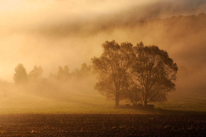 DSC_5605N1r.jpg