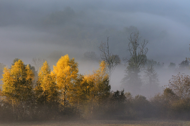 DSC_5580N1r.jpg