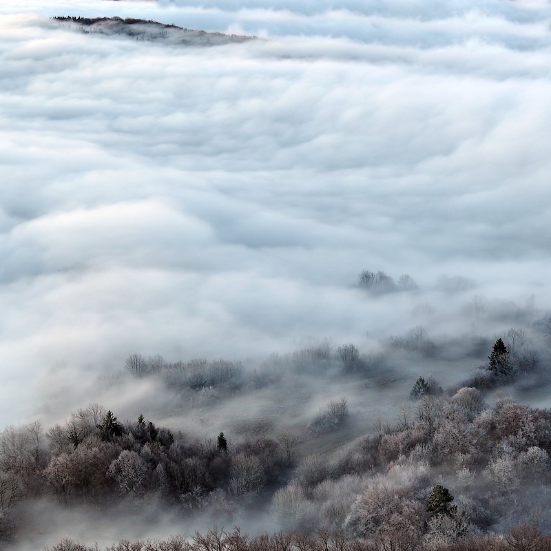 brume et brouillard 2.jpg