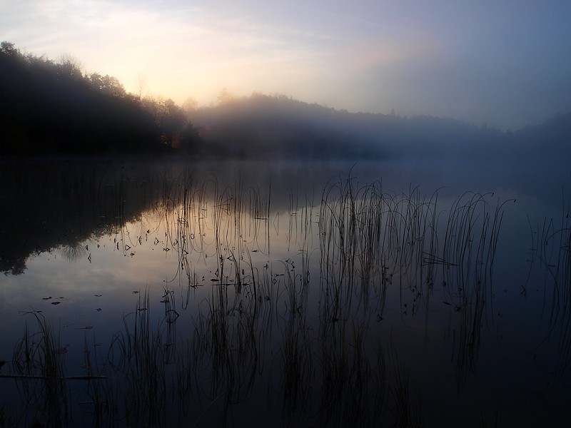 brume et brouillard 3.jpg
